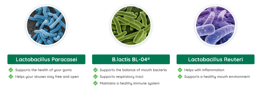 screenshot 2025 10 20 110616 screenshot 2025 10 20 110616