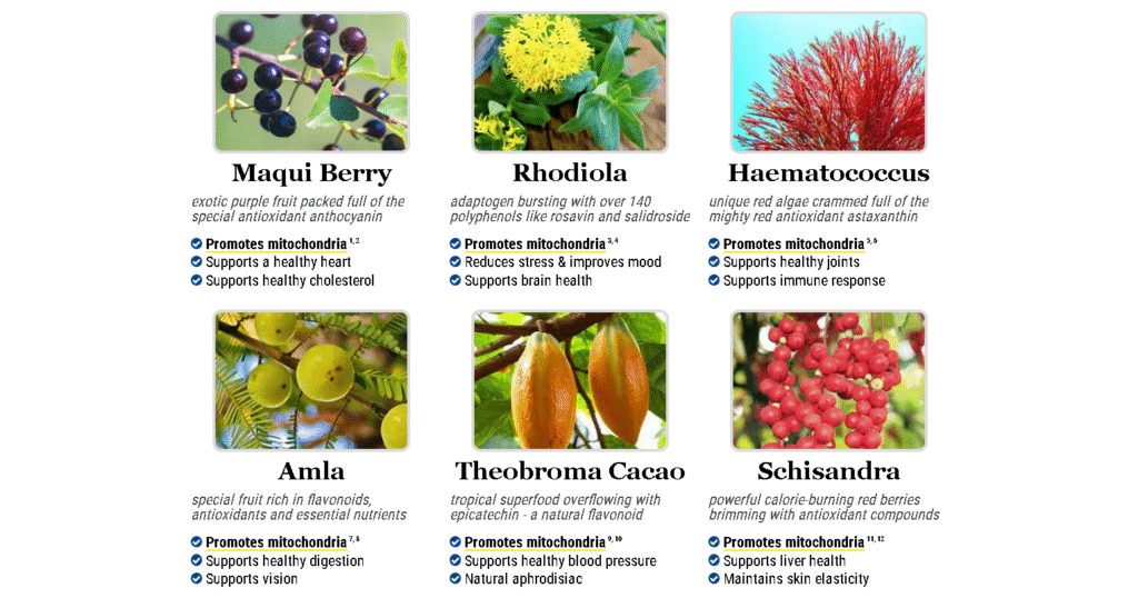 screenshot 2025 10 21 201447 screenshot 2025 10 21 201447