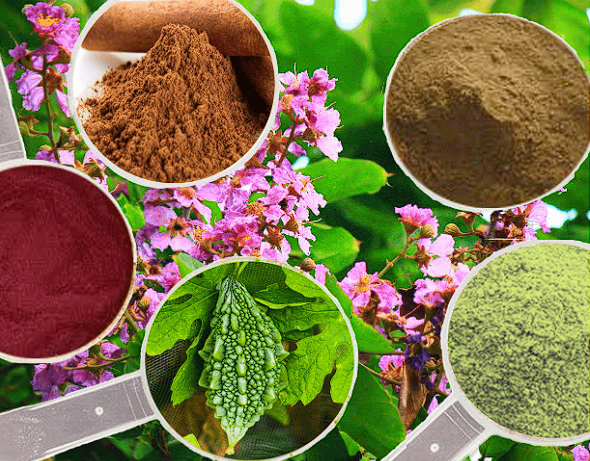 Screenshot 2025-11-01 124143 gluco-extend