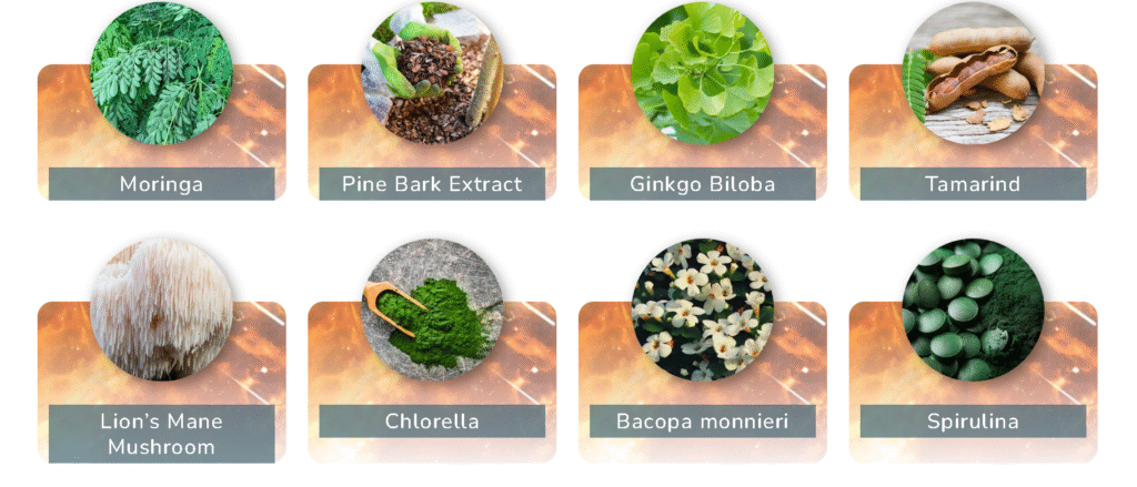 Screenshot 2025-11-05 114729 neuroprime