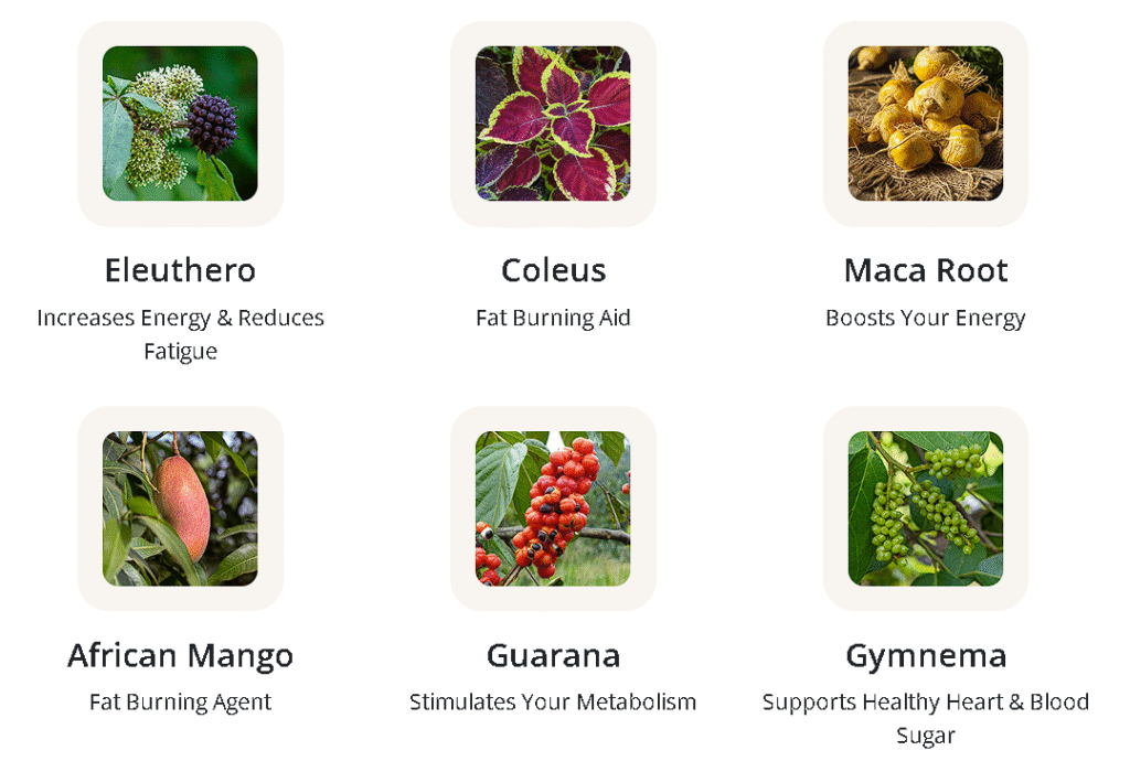 Screenshot 2025-11-08 110325 glucotonic